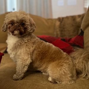 Meet your Posher, Brian